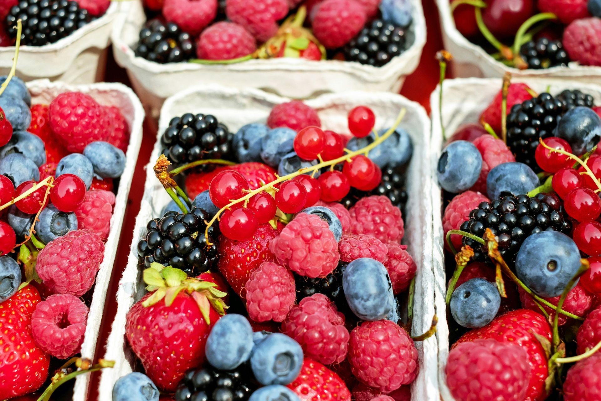 Why berries are everywhere all year