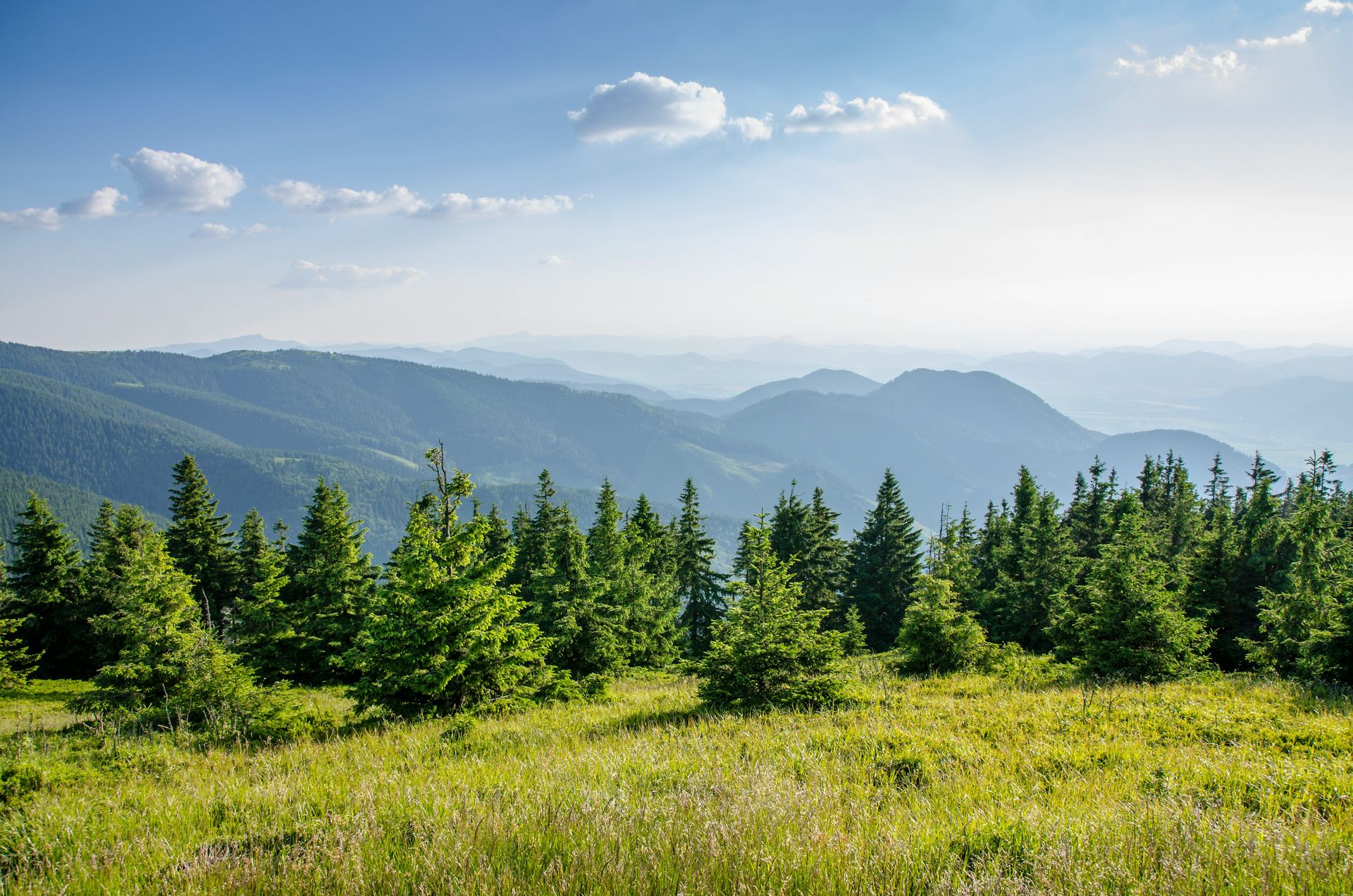 Can nature help you feel beautiful?