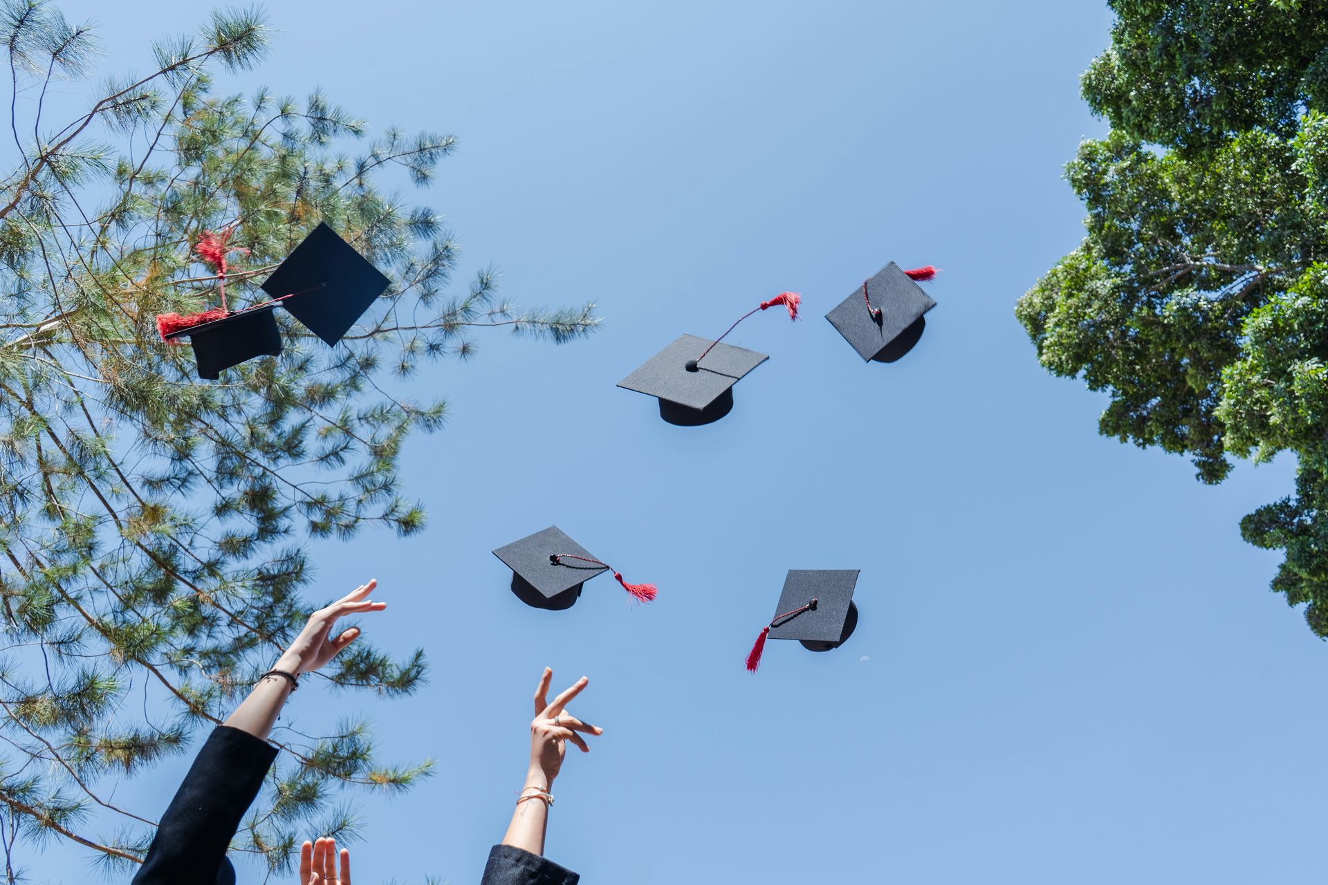 One person with 12 college degrees