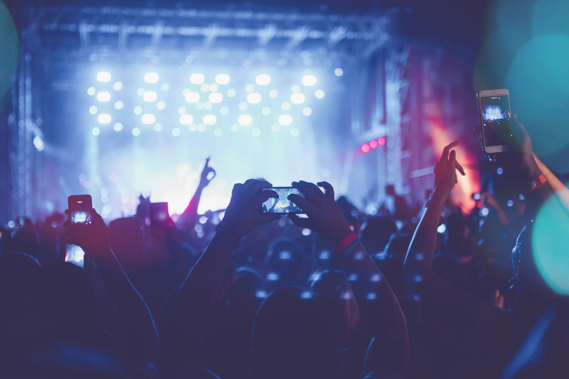 Why everyone gets lost at Pitbull concerts