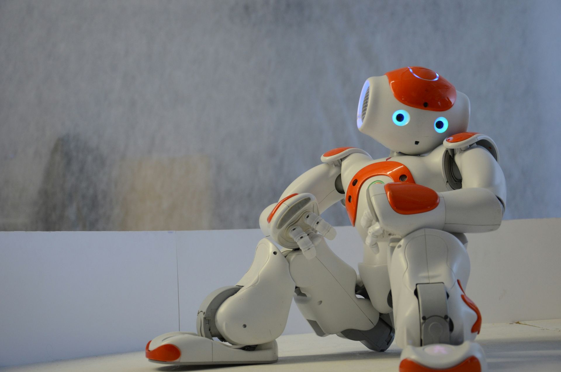 Why we love watching robots fail